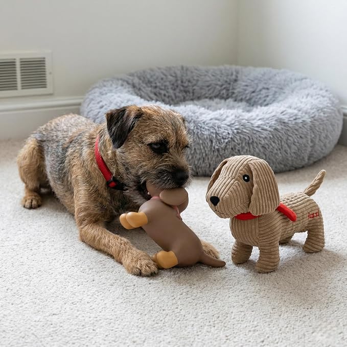 Fuzzl Sizzles the Dachshund Puppy Pack Dog Toys, Small, Pack of 2 | Plush Cord, Plush Latex Sausage Dogs, Soft Chew and Squeaky, For Puppies and Small Dogs