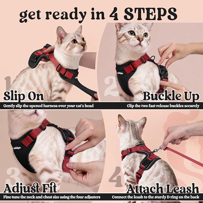 rabbitgoo Cat Harness and Leash Set, Escape Proof Vest, Black & Red | Soft Breathable Mesh, Easy Adjustable Fit, Snap Buckles, Sturdy Clip, Reflective Strips, for Medium to Large Cats Walks, M