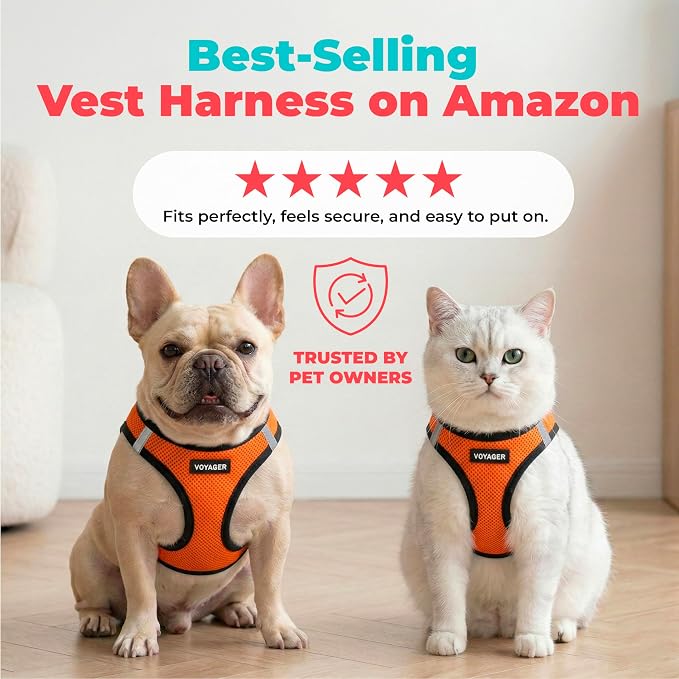 Voyager Step-in Air Dog Vest Harness - Orange/Black Trim, Large | 18- 20.5" in Chest, Reflective Bands, All Weather Breathable Air Mesh, Cats Compatible, Lightweight, Fast Drying