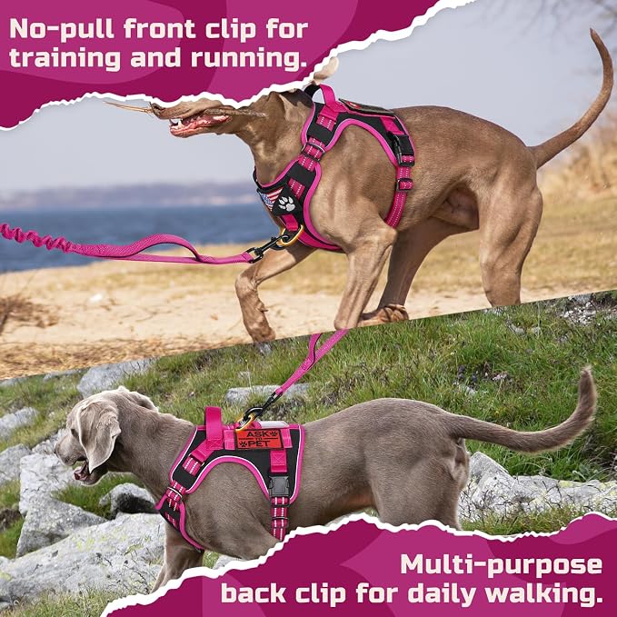 rabbitgoo Tactical Dog Harness for Medium, No Pull Military Service Vest | Molle & Handle, Heavy Duty, Adjustable, Reflective Straps, Easy Control for Training Walking, Black & Rose Red, Medium