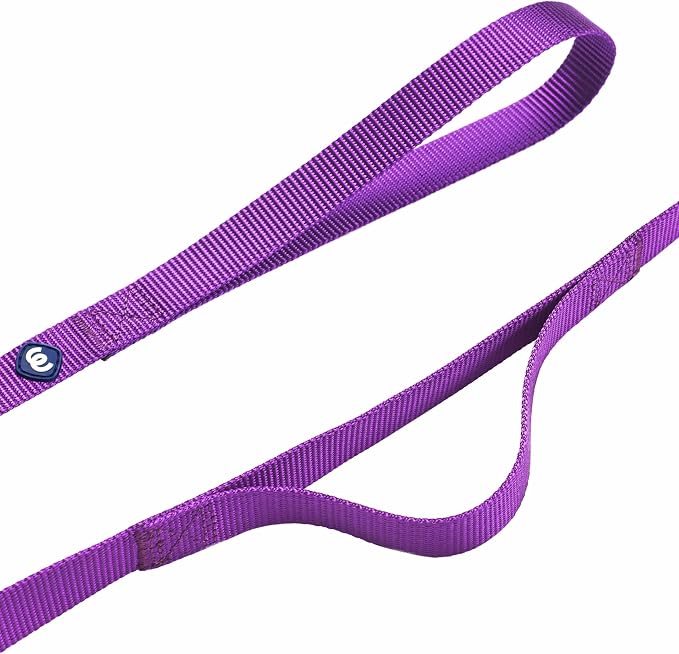 Blueberry Pet Essentials Double Handle Dog Leash for Traffic Control | 5ft. x 3/8" X-Small Dog Leash | Classic Dog Leash with Two Handles for Dogs That Pull | Nylon 2 Handle Dog Leash in Dark Orchid