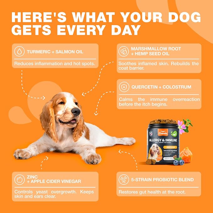 Dog Allergy Relief Chews for Itchy Skin, Licking Paws, Hot Spots & Immune