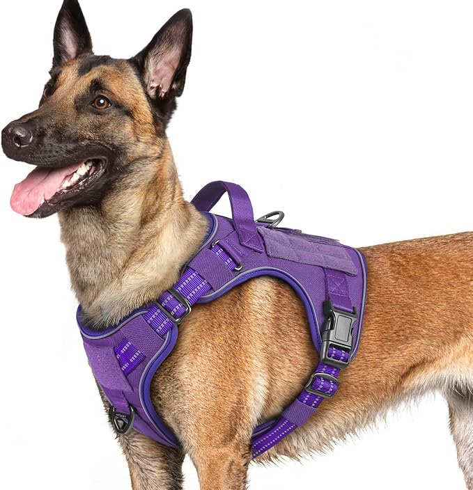 rabbitgoo Tactical Dog Harness for Large Dogs, No Pull Service Pet Vest | Military Molle System & Easy Control Handle, Adjustable and Reflective for Walking and Training, Purple, Large