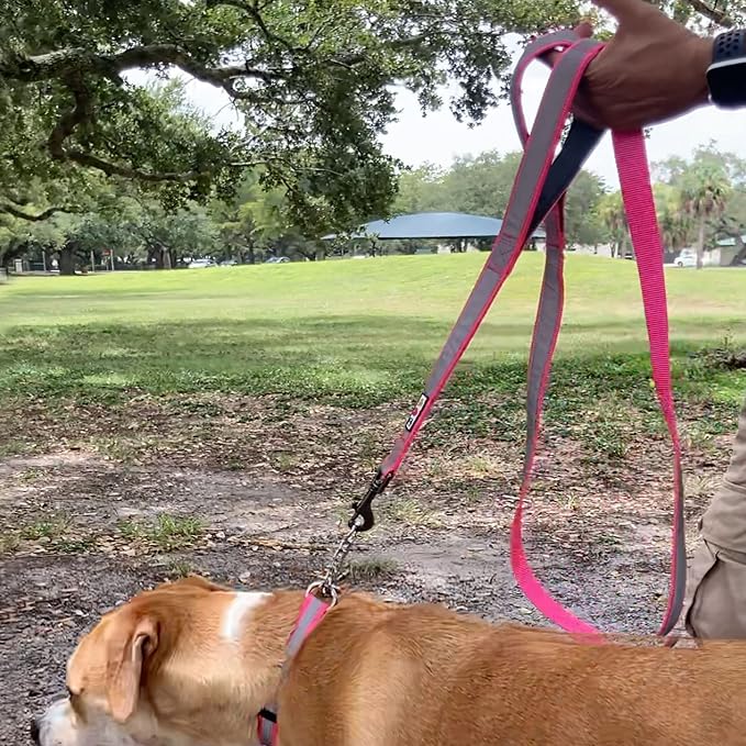 Pawtitas Double Handle Dog Leash Heavy Duty for Training No Pull Leashes Ideal for Medium and Large Dogs | Great for Walking, Running & Training Dog Leash - Medium/Large - Teal