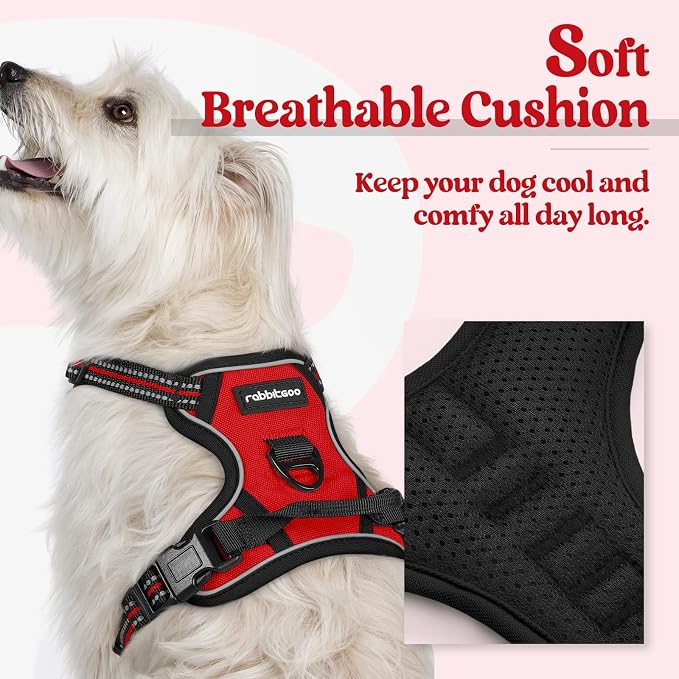 rabbitgoo Dog Harness, No Pull for Small Dogs with 2 Leash Clips, Pet Vest | No Choke, Adjustable, Breathable Padded, 2 Lead Rings, Reflective, Easy Control for Walking Training, XS, Red