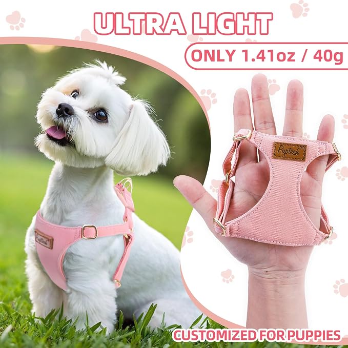 PUPTECK Dog Harness and Leash Set Small Sized, Lightweight Step-in Puppy Harness, Escape Proof No Pull Cute Pet Vest Harnesses, Pink XS