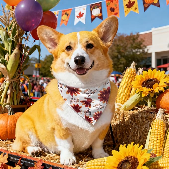Thanksgiving Holiday Dog Bandana, Turkey, Medium, Small