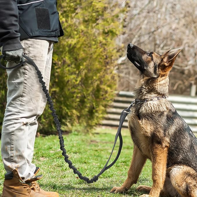 rabbitgoo Tactical Dog Leash, Heavy Duty Training Bungee Lead | Military Leash with 2 Padded Control Handles for Medium Large Dogs, No Pull for Shock Absorption, Reflective, Black, 6FT