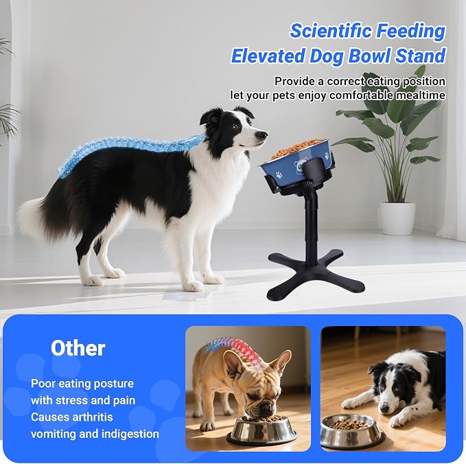 Dog Bowls Elevated Adjustable Stand, Raised Bowl with 3 Heights & Tilted Feeding Stand, Compatible with Various Bowls, for Medium & Large Breeds(with Bowl) Black