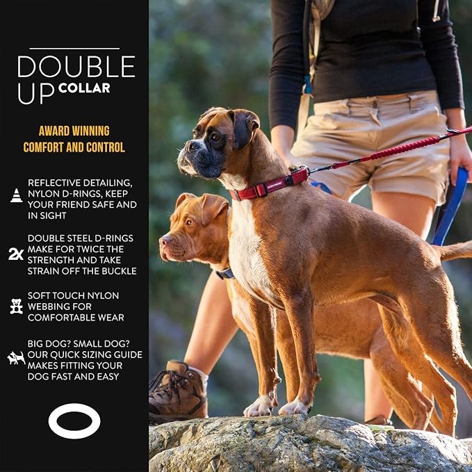 EzyDog Double Up Dog Collar, Strong Double D-Rings - X-Large, Pink | Dual D-Rings for Superior Strength, Safety, and Comfort, Soft Touch Nylon Webbing, Reflective Stitching, Id Attachement Point