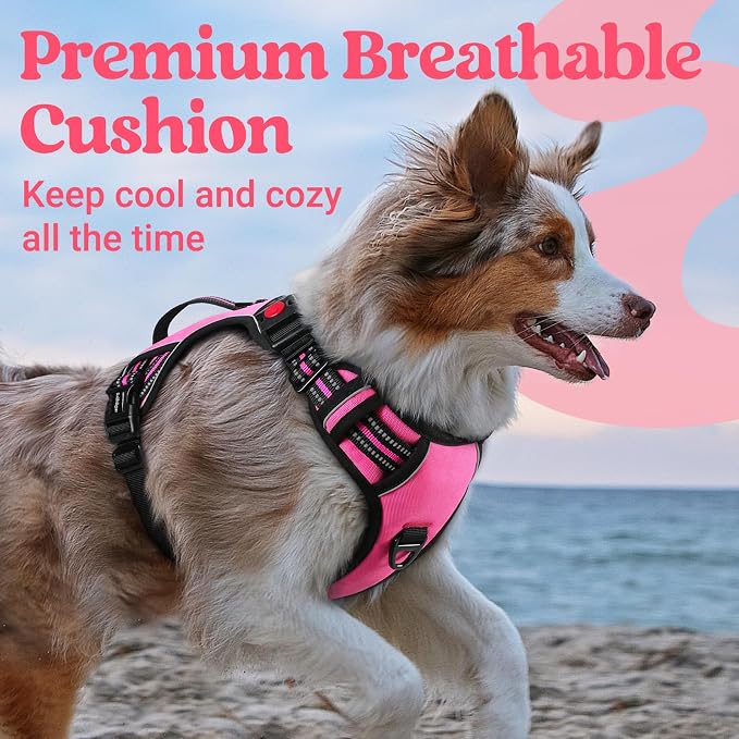 rabbitgoo Large Dog Harness, Easy Wear with 3 Buckles and Lift Handle | No Pull with Front Clip for Walking, Adjustable Soft Padded, Reflective, Easy Control, Pink, X-Large