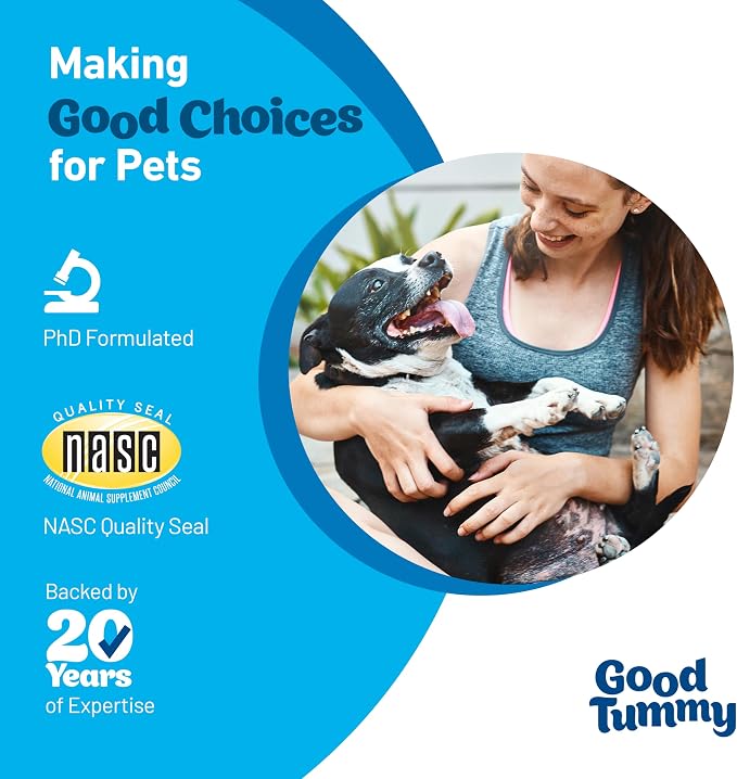 Good Tummy Gut Health Chews for Dogs, Beef Flavor, 60ct