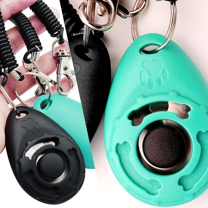 Pet Training Clicker with Wrist Strap, Black/Bluegreen