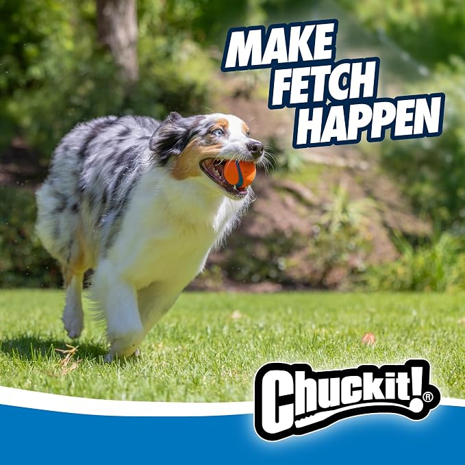 Chuckit! Ultra Ball Dog Toy, Medium, 2.5in, 2-Count, Pack of 6