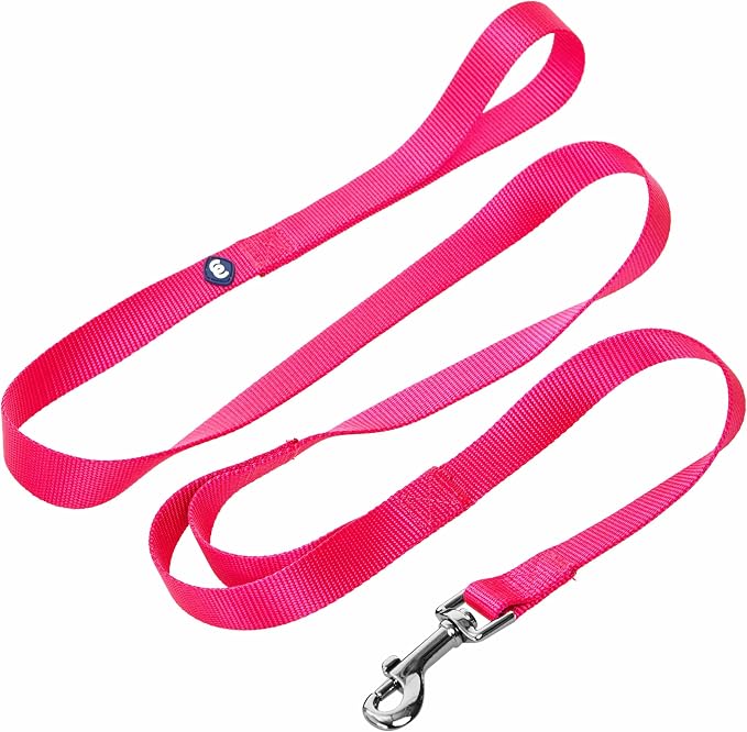 Blueberry Pet Essentials Double Handle Dog Leash for Traffic Control | 5ft. x 5/8" Small Dog Leash | Classic Dog Leash with Two Handles for Dogs That Pull | Nylon 2 Handle Dog Leash in French Pink
