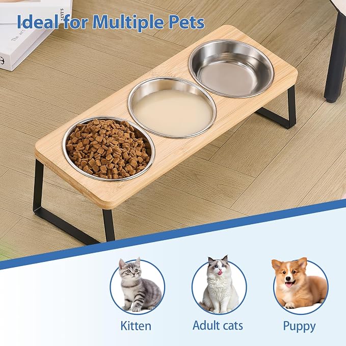 Hannadepot Elevated Cat Bowls, 15° Tilted Raised Cat Food and Water Bowl, Anti-Vomit & Whisker-Friendly Design, 3 Stainless Steel Bowls for Cats and Small Dogs