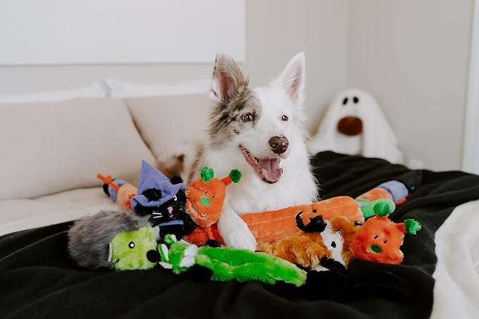 ZippyPaws Halloween Skinny Peltz-Zombie Fox,Franken-Weasel,&Witch Cat No Stuffing Squeaky Dog Toys,Flat Unstuffed Puppy Toy for Small & Medium Breeds,Multi-Pack of 3,18'',Orange,Green,PurpleZP1610)