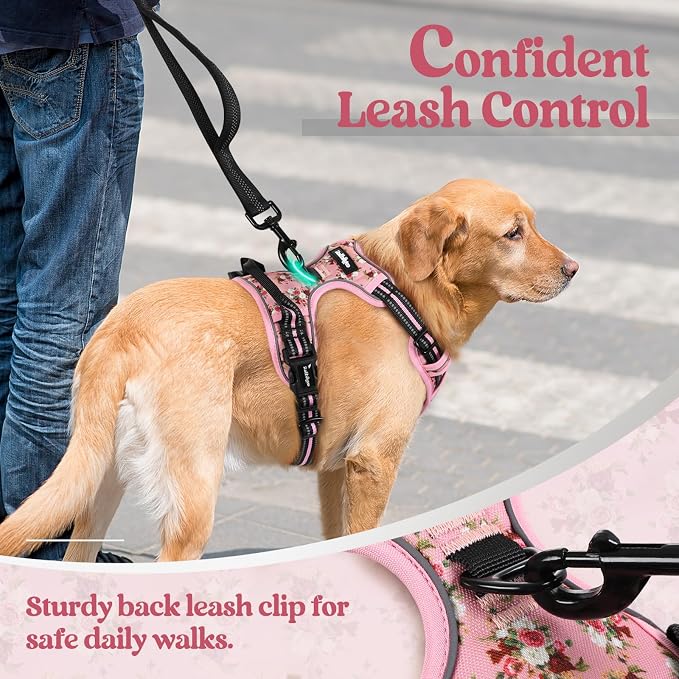 rabbitgoo Dog Harness, No Pull for Small Dogs with 2 Leash Clips, Pet Vest | No Choke with Handle, Adjustable Soft Padded, Reflective, Easy Control for Walking, Pink Rose, Small