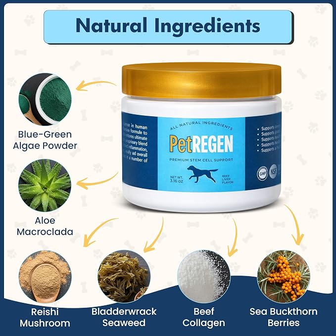 Regenerative Wellness Supplement for Dogs & Cats – Supports Joint Health, Mobility, Healthy Aging, Energy, Digestion & Immune Health – 30 Scoops