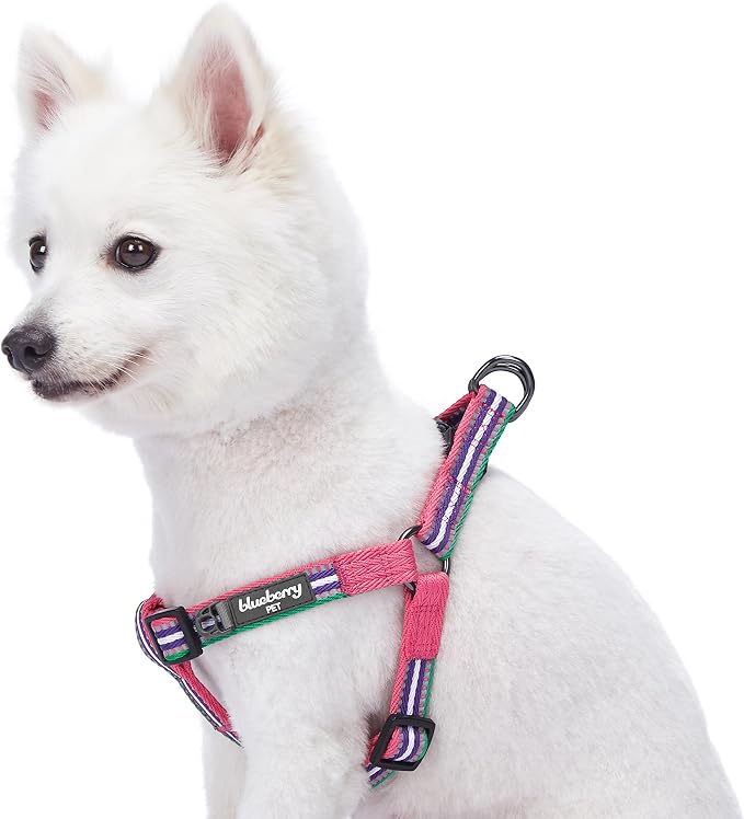 Blueberry Pet 5 Colors Step-in 3M Reflective Multi-Colored Stripe Padded Dog Harness, Chest Girth 26" - 39", Pink, Emerald & Orchid, Large, Adjustable Harnesses for Dogs