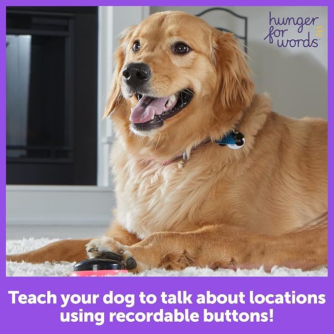 Hunger For Words Talking Pet Buttons, 3 Piece Set