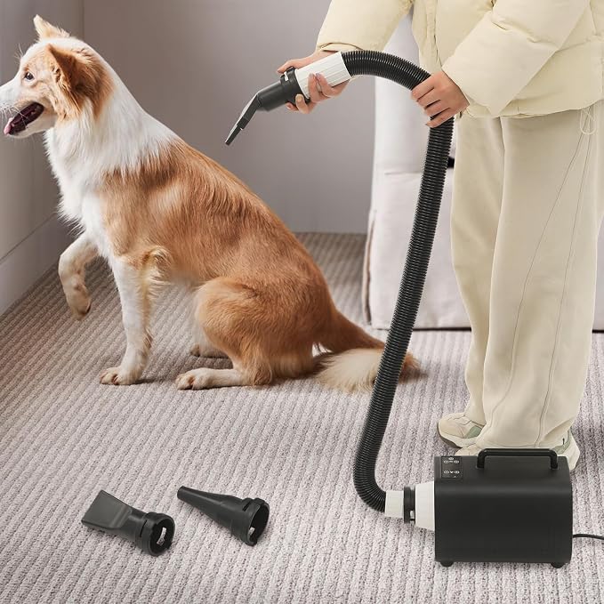 Pet Hair Dryer 2100W Adjustable Speed Temperature for Dogs Cats Home Use | Adjustable 1-9 speed/temperature – 2100W motor, 120000rpm – ABS housing – insulated handle – overheat protection – 3 nozzles