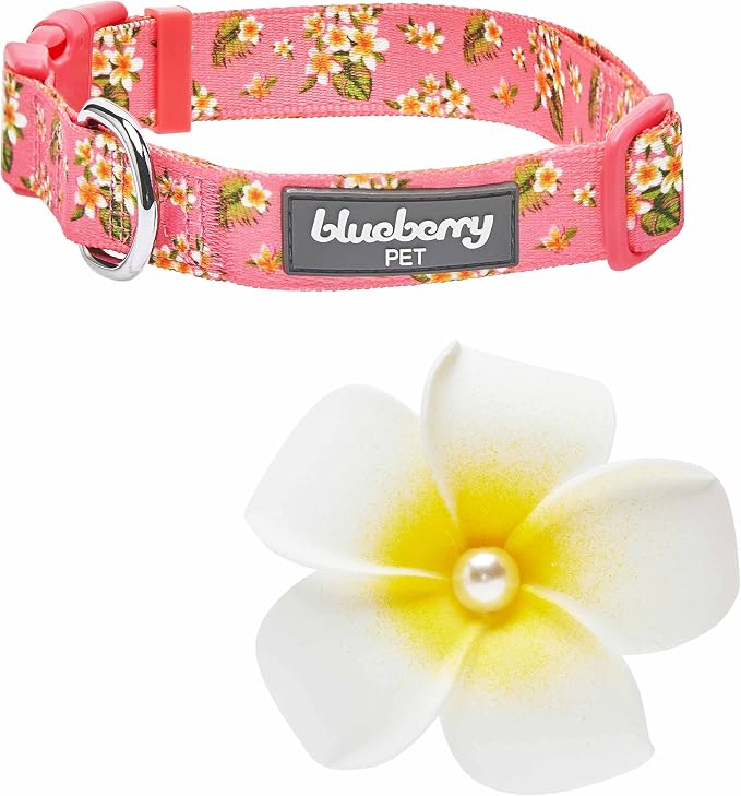 Blueberry Pet Summer Sparkle Dog Collar, Adjustable Medium, 14.5"-20" Neck, Tropical Plumeria Flower Pink, Girl Dog Collars, Puppy Collar, Pink Dog Collar, Dog Collars for Small Dogs, Accessories