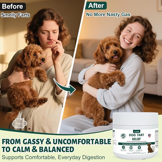 Dog Fart Remedy with 4B CFU Pediococcus Acidilactici Probiotics & Digestive Enzymes, Helps Reduce Smelly Gas & Bloating, Supports Dog Gut Health & Digestive Balance, Powder for Dogs – 5 oz