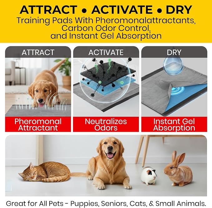 Glad for Pets Extra Large Charcoal Training Pads for Dogs and Puppies, Activated Carbon Odor Control, 6-Layer Absorbent Leak-Proof Pee Pads with Pheromone Attractant, 28 x 30 in, 30 Count