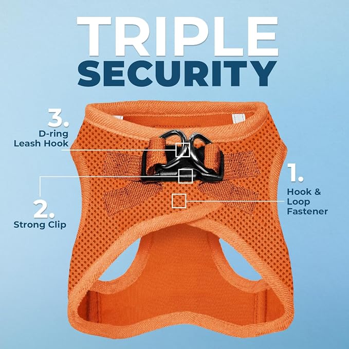 Best Pet Supplies Voyager Step-in Air All Weather Mesh Harness and Reflective Dog 5ft Leash Combo with Neoprene Handle, for Small, Medium and Large Breed Puppies - Orange, Medium
