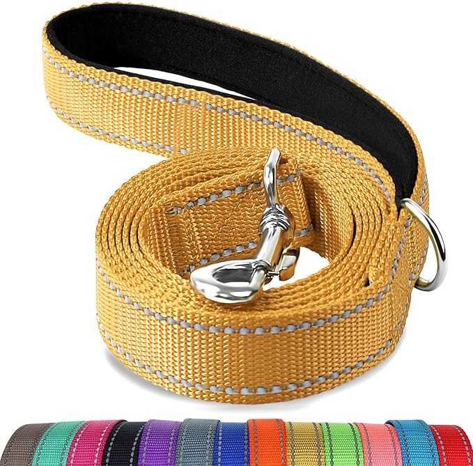 Joytale Reflective Dog Leash for Medium & Large Dogs, 6 FT x 1", Khaki | Heavy Duty Nylon Webbing, Padded Handle for Comfort, Visible at Night, for Walking & Training
