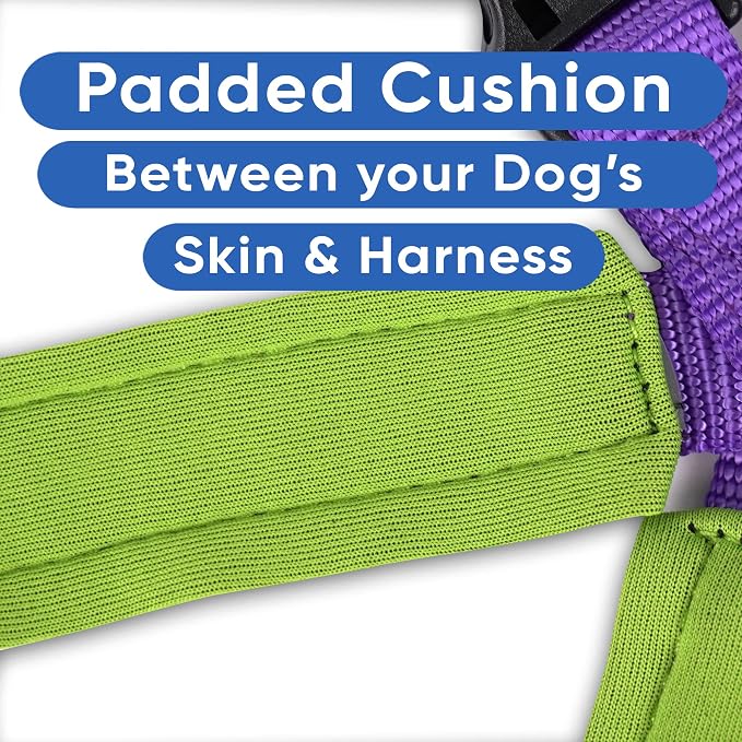 Pawtitas Reflective Padded Dog Harness for X-Small Dogs – Adjustable Puppy Step-in Vest | Fits Chest 14–18 in | No Pull Training Harness | XS | Purple