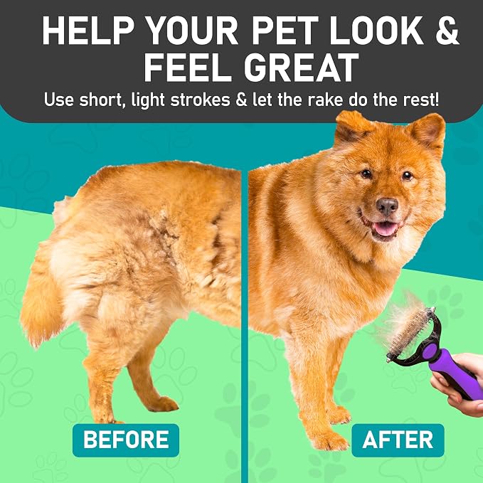Maxpower Planet Pet Grooming Brush, Purple