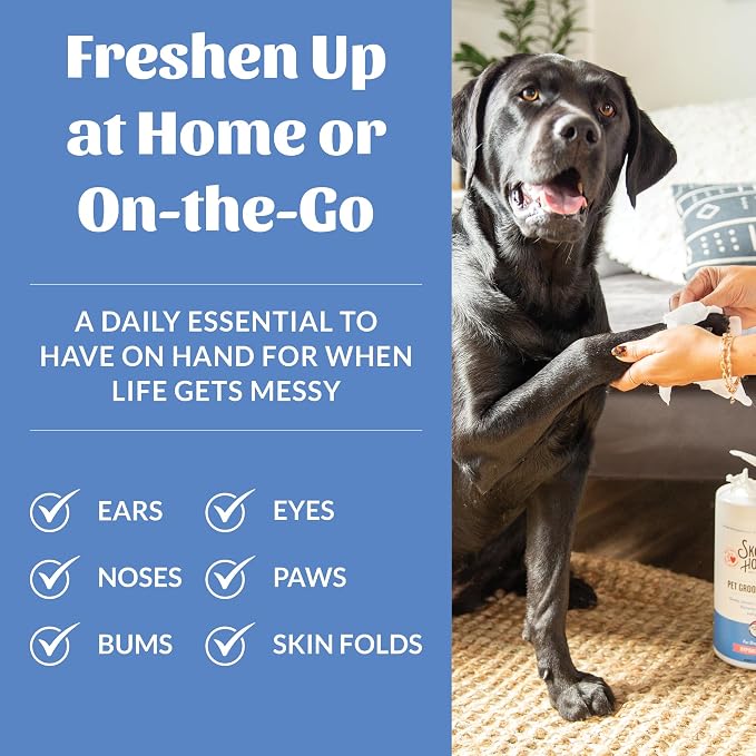 SKOUT'S HONOR Pet Grooming Wipes, Plant-Based, 80 Count