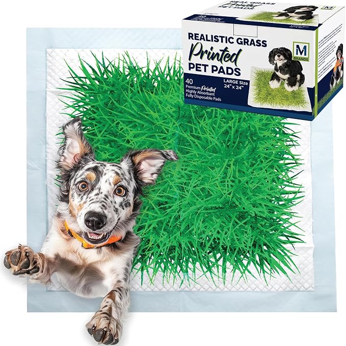 Big Dawg Pet Supplies Absorbent Puppy Pee Pads for Dogs & Cats – 24x24” Disposable Pet Pads – Handy Grab-n-Go Box – Potty Training & Housebreaking Supplies – Color, Grass – 40pc