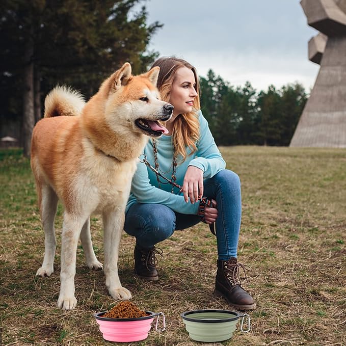SLSON Dog Bowls Collapsible with Cover Lids, 2 Pack, Fairy Pink and Sprout Green, Large