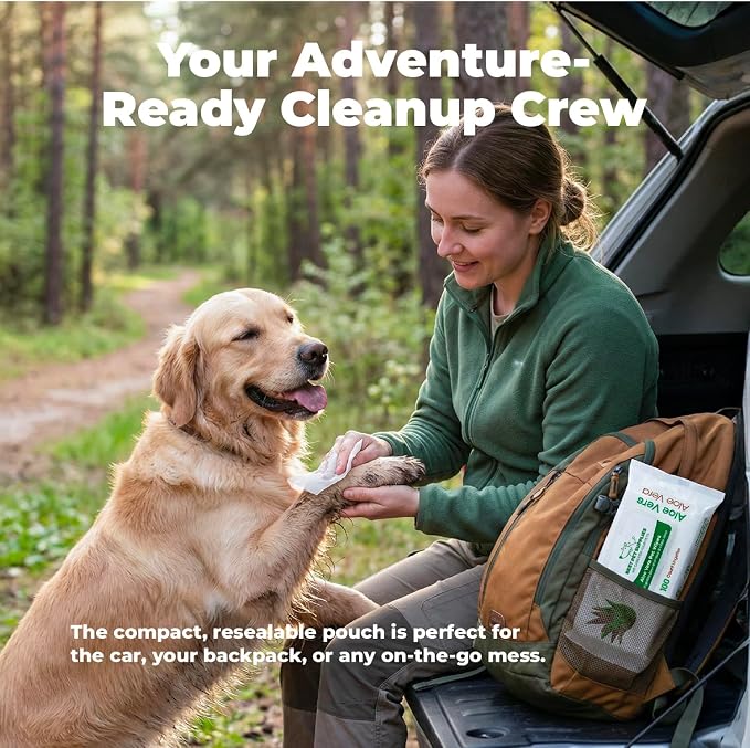 Best Pet Supplies 8" x 9" Large Unscented Dog Wipes - Cleaning and Deodorizing for Paws and Coat - Gentle Formula with Aloe Vera Vitamin E for Puppies and Cats - 100 Count (Pack of 12)