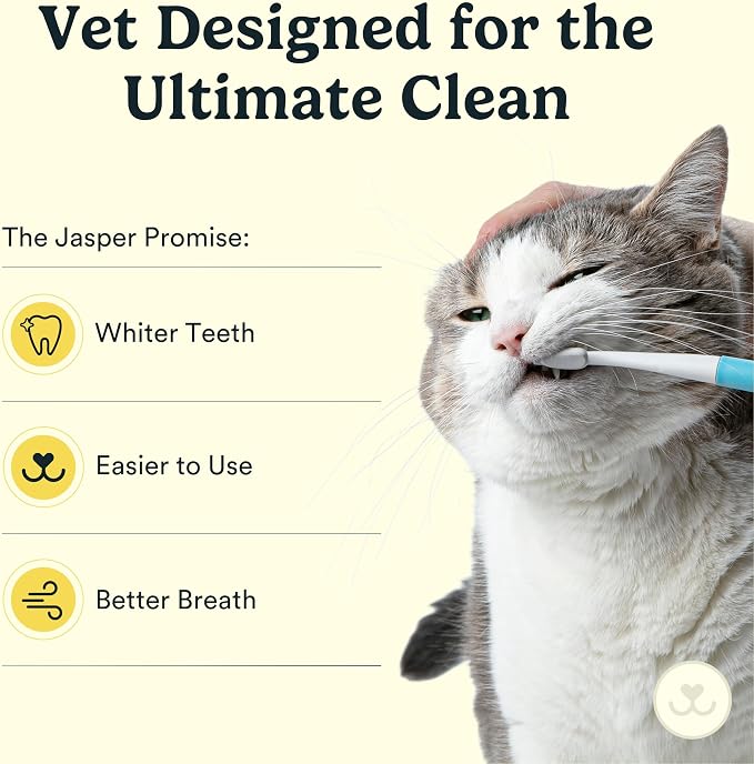 Jasper Microbrush Vet Approved Cat Toothbrush, Soft-Bristled Toothbrush Kit for Felines & Small Dogs, Non-Slip Handle, Tooth Brush Heads, Use with Cat Toothpaste, 4-Pack Blue