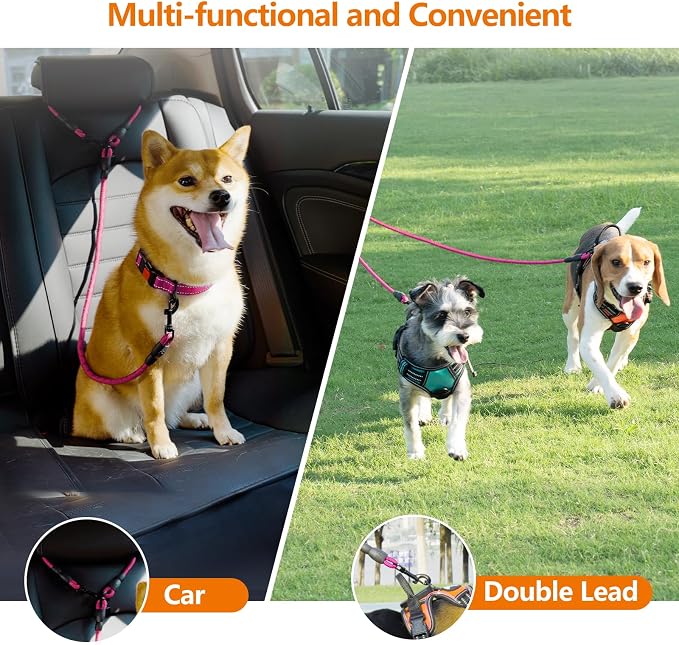 Taglory Double Dog Leash Coupler for Two Dogs, 1/3" Lightweight Dual Leash Extension for Small and Medium Dogs, No Tangle 360° Swivel, Reflective Rope, 30 Inch, Pink