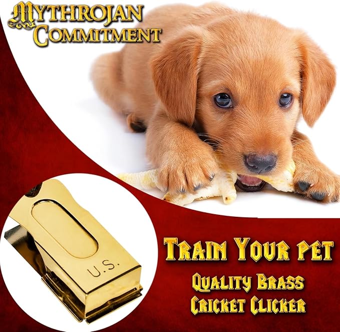 Brass and Steel Pet Training Clicker, Set of 5 Pcs