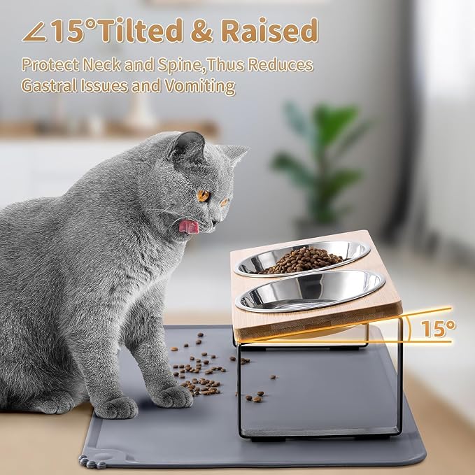 2 Pack Elevated Cat Bowls with Food Mat,15°Tilted Stand Anti Vomiting Raised Cat Dishes for Food and Water,2 Stainless Steel Bowls for Cats and Puppy
