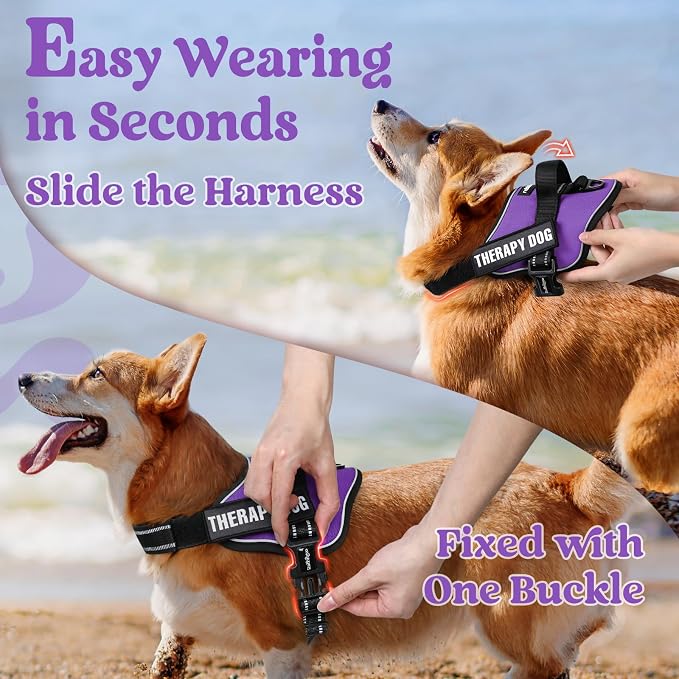 rabbitgoo No Pull No Choke Pet Vest, Adjustable Pet Harness with Molle | Medium Sized Dog Harness, Reflective, Easy Wearing with One Buckle for Walking, Training, Purple, M