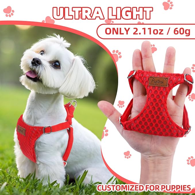 PUPTECK Dog Harness and Leash Set Small Sized, Lightweight Step-in Puppy Harness, Escape Proof No Pull Cute Pet Vest Harnesses, Red S