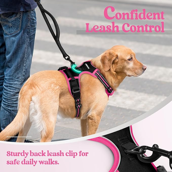 rabbitgoo Dog Harness, No Pull for Small Dogs with 2 Leash Clips, Pet Vest | No Choke with Handle, Adjustable Soft Padded, Reflective, Easy Control for Walking, Black & Hot Pink, Small