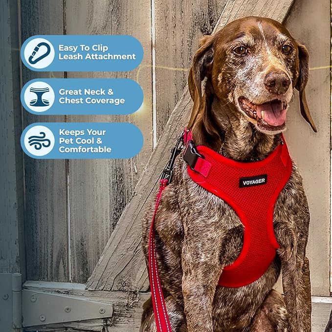 Voyager Step-in Lock Dog Harness - Red, X-Small | 13 - 16" in Chest, Adjustable, Breathable Air Mesh, Lightweight for Daily Walks, Strong Clips, Heavy Duty D-Ring