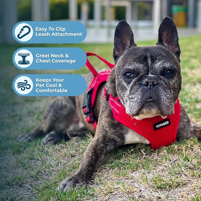 Voyager Step-in Flex Adjustable Dog Harness - Red, X-Large | 23 - 28" in Chest, Fully Adjustable, Reflective Bands, All Weather Breathable Air Mesh, Lightweight, Fast Drying