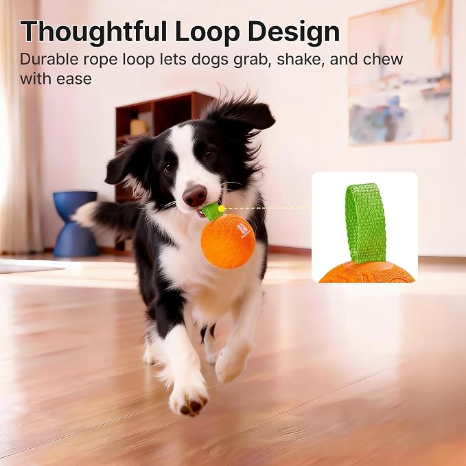 Potaroma Dog Ball with Rope Handle, Motion Activated Bouncing E-TPU Toy | Type-C Fast Charging, 3 Speed Modes, Gentle on Teeth, Medium & Large Breeds 35 lbs Up, Not for Aggressive Chewers, 3.2 Inches