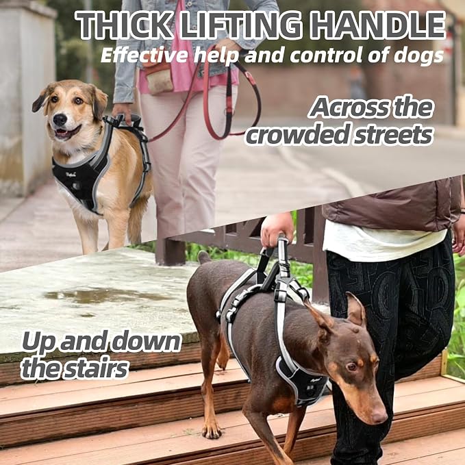 PUPTECK Escape Proof Dog Harness with Padded Handle, No Pull Pet Vest Harness Durable Reflective for Medium Large Dogs Walking Training and Running, Black, L