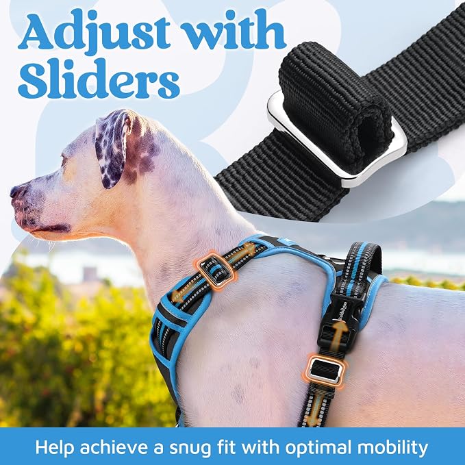 rabbitgoo Dog Harness for Large, No Pull 3 Buckles Easy On & Off | Soft Padded, Walking with Control Handle, Adjustable and Reflective, Black & Blue, Large