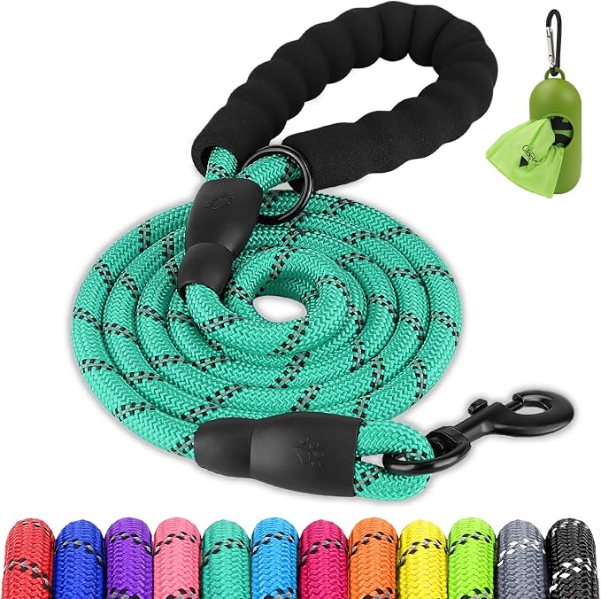Joytale Rope Dog Leash for Medium Large Dogs, Padded Handle, 6FT, Turquoise | Reinforced Nylon Webbing, Comfort Grip Eases Hand Strain, Swivel Clip Prevents Tangles, Visible at Night, for Outdoor Walks